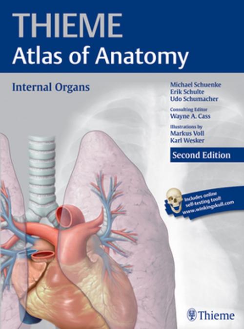 Cover of the book Internal Organs (THIEME Atlas of Anatomy) by Michael Schuenke, Erik Schulte, Udo Schumacher, Thieme