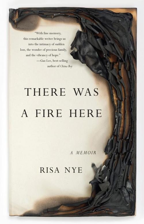 Cover of the book There Was A Fire Here by Risa Nye, She Writes Press