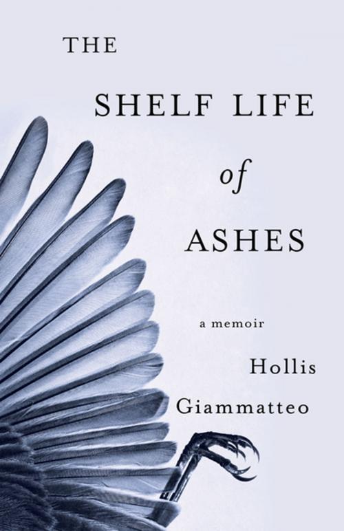 Cover of the book The Shelf Life of Ashes by Hollis Giammatteo, She Writes Press