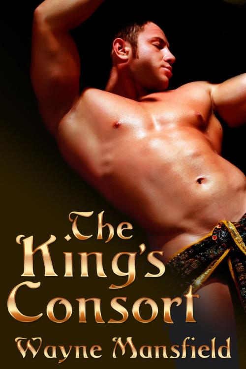 Cover of the book The King's Consort Box Set by Wayne Mansfield, JMS Books LLC