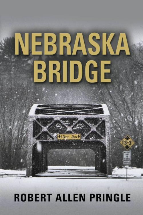 Cover of the book NEBRASKA BRIDGE by Robert Allen Pringle, BookLocker.com, Inc.