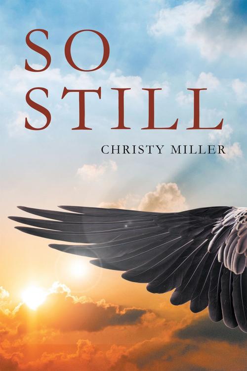 Cover of the book So Still by Christy Miller, Page Publishing, Inc.