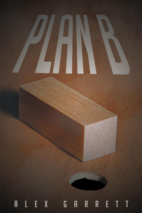 Cover of the book Plan B by Alex Garrett, Page Publishing, Inc.