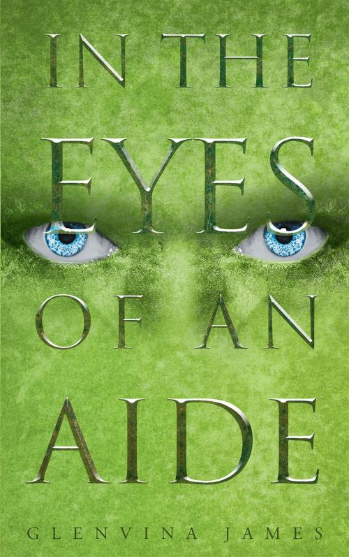 Cover of the book In the Eyes of an Aide by Glenvina James, Page Publishing, Inc.