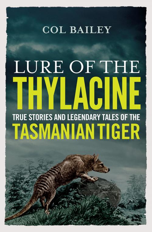 Cover of the book Lure of the Thylacine: True Stories and Legendary Tales of the Tasmanian Tiger by Col Bailey, Bonnier Publishing Australia
