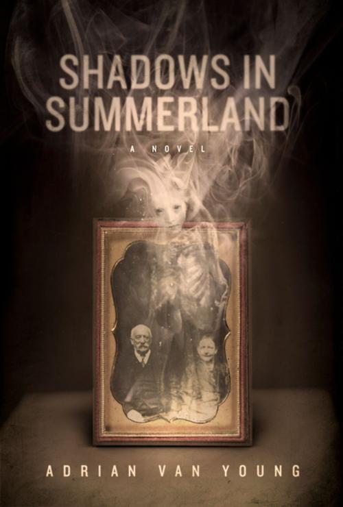 Cover of the book Shadows in Summerland by Adrian Van Young, ChiZine Publications