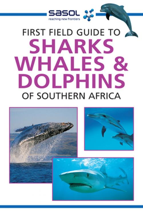 Cover of the book First Field Guide to Sharks, Whales and Dolphins of Southern Africa by Sean Fraser, Penguin Random House South Africa