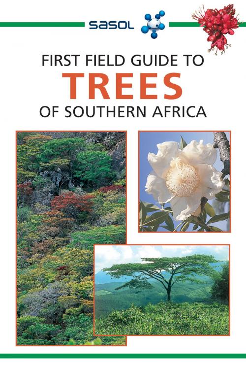 Cover of the book First Field Guide to Trees of Southern Africa by Elsa Pooley, Penguin Random House South Africa
