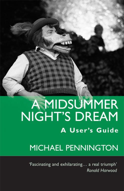 Cover of the book A Midsummer Night's Dream: A User's Guide by Michael Pennington, Nick Hern Books