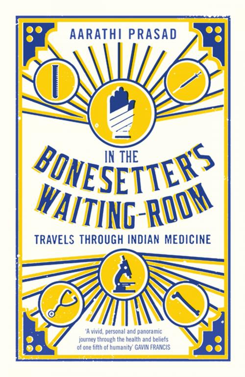 Cover of the book In the Bonesetter's Waiting Room by Aarathi Prasad, Profile