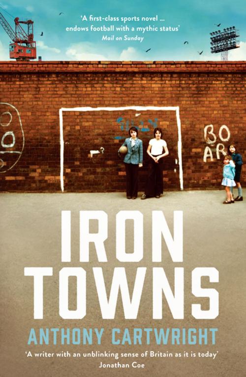 Cover of the book Iron Towns by Anthony Cartwright, Profile
