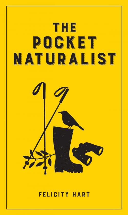 Cover of the book The Pocket Naturalist by Felicity Hart, Summersdale Publishers Ltd