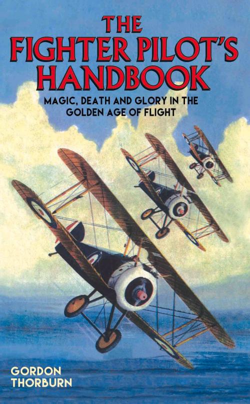 Cover of the book The Fighter Pilot's Handbook by Gordon Thorburn, John Blake