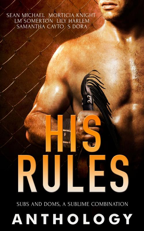 Cover of the book His Rules by Sean Michael, Morticia Knight, L.M. Somerton, Totally Entwined Group Ltd