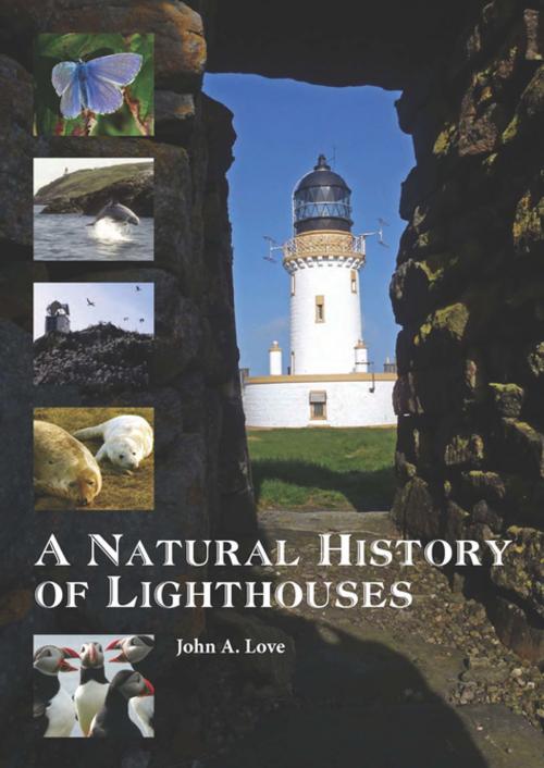 Cover of the book A Natural History of Lighthouses by John A Love, Whittles Publishing