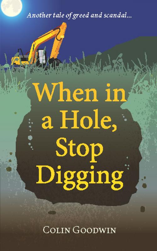 Cover of the book When in a Hole, Stop Digging by Colin Goodwin, 2QT Limited (Publishing