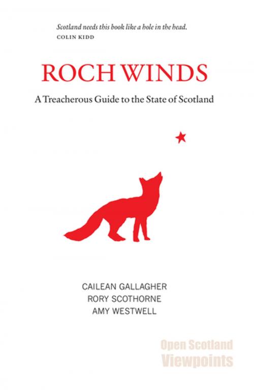 Cover of the book Roch Winds by Cailean Gallagher, Luath Press Ltd