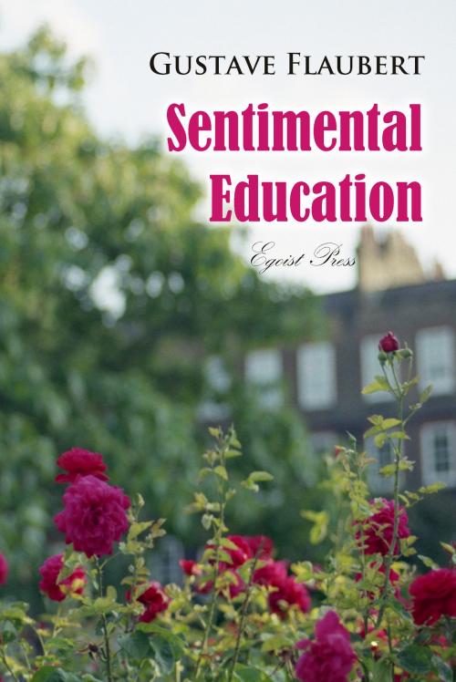 Cover of the book Sentimental Education by Gustave Flaubert, Interactive Media