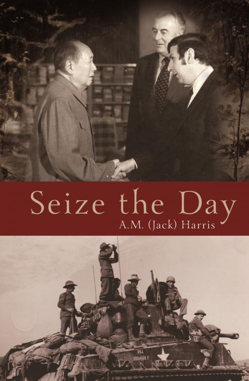 Cover of the book Seize the Day by A M (Jack) Harris, Brolga Publishing