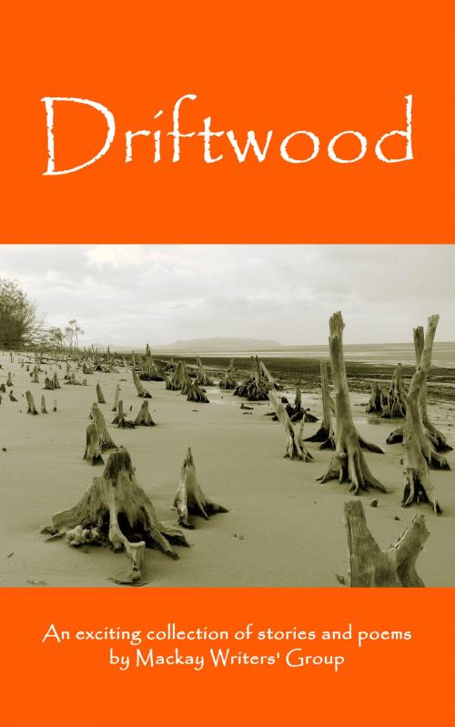 Cover of the book Driftwood: An anthology of works by members of the Mackay-Pioneer Valley Arts Council Writers Group (Mackay Writers) by MackayWriters, MoshPit Publishing