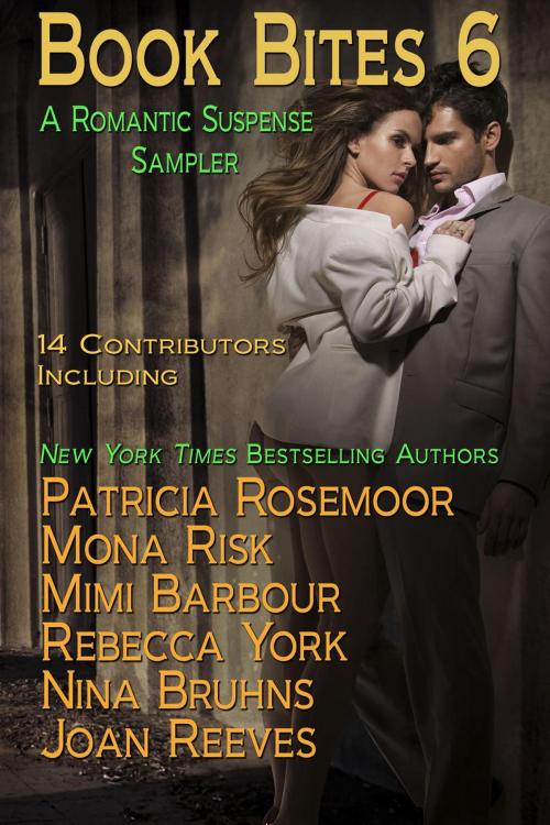 Cover of the book Book Bites 6 by Mimi Barbour, Mona Risk, Patricia Rosemoor, Nancy Radke, Jacquie Biggar, Joan Reeves, Rebecca York, Donna Fasano, J.L. Saint, Nina Bruhns, Taylor Lee, Stephanie Queen, Rachelle Ayala, Stacy Juba, Mimi Barbour