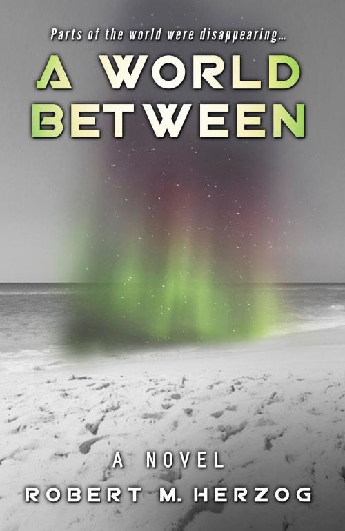 Cover of the book A World Between by Robert M. Herzog, Fiction Studio Books