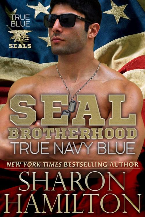 Cover of the book True Navy Blue by Sharon Hamilton, AL Publishing