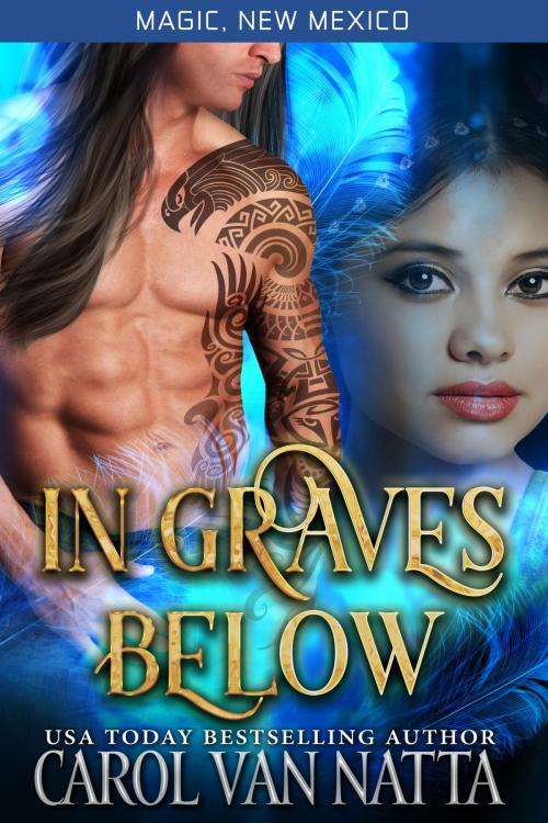 Cover of the book In Graves Below by Carol Van Natta, Chavanch Press, LLC