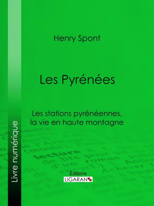 Cover of the book Les Pyrénées by Henry Spont, Ligaran