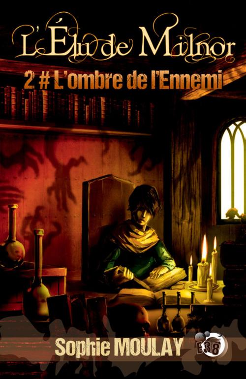Cover of the book L'ombre de l'Ennemi by Sophie Moulay, Les éditions du 38
