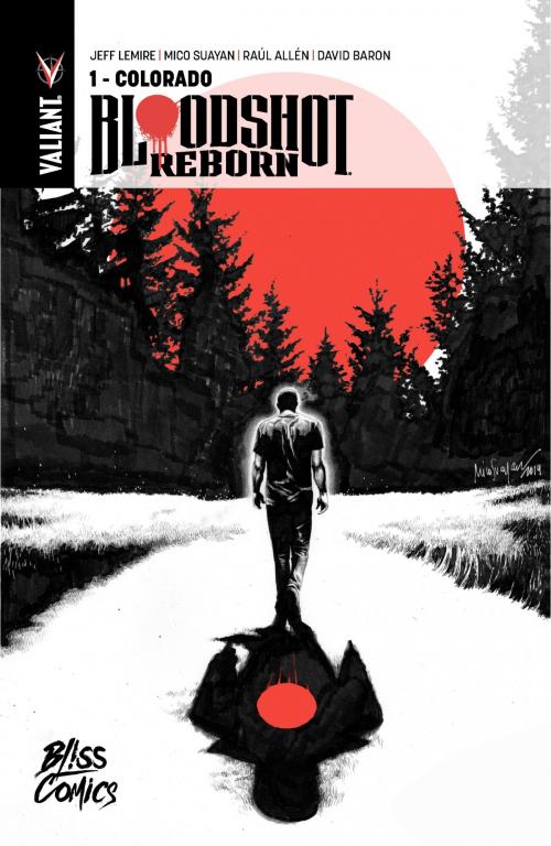 Cover of the book Bloodshot Reborn - Tome 1 - Colorado by Jeff Lemire, Mico Suayan, Raul Allen, BLISS COMICS