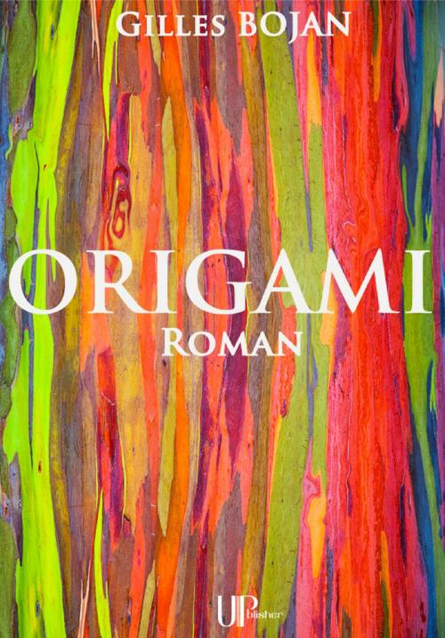 Cover of the book Origami by Gilles Bojan, UPblisher