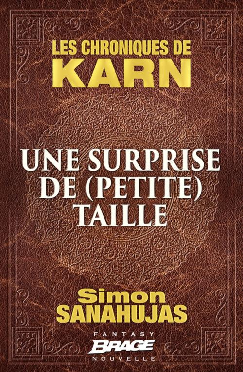 Cover of the book Une surprise de (petite) taille by Simon Sanahujas, Bragelonne