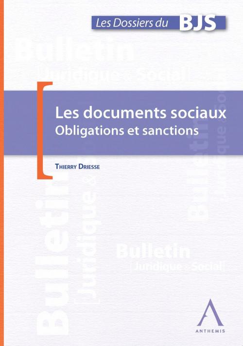 Cover of the book Les documents sociaux dans l'entreprise by Thierry Driesse, Anthemis, Anthemis