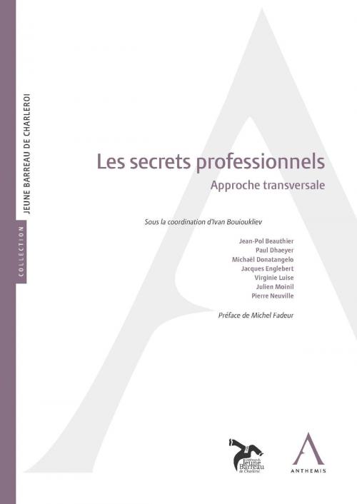 Cover of the book Les secrets professionnels by Collectif, Anthemis, Anthemis