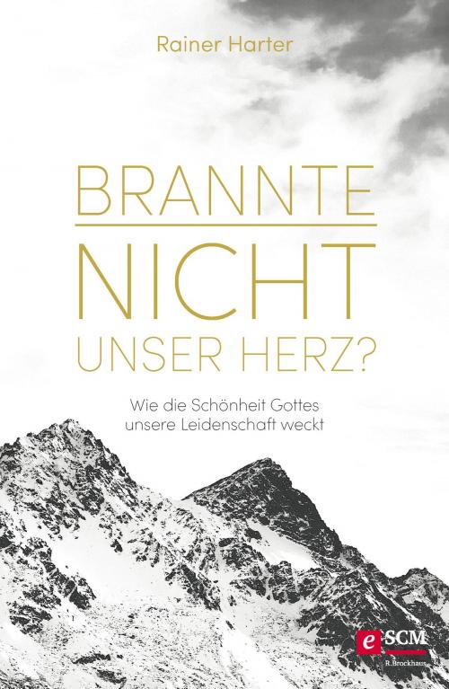 Cover of the book Brannte nicht unser Herz? by Rainer Harter, SCM R.Brockhaus