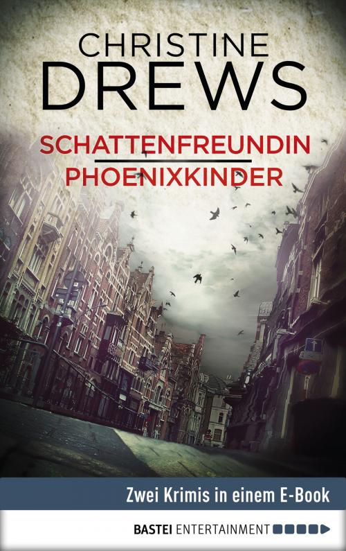 Cover of the book Schattenfreundin / Phoenixkinder by Christine Drews, Bastei Entertainment