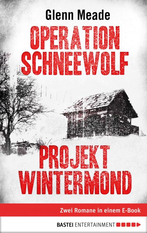 Cover of the book Operation Schneewolf/Projekt Wintermond by Glenn Meade, Bastei Entertainment