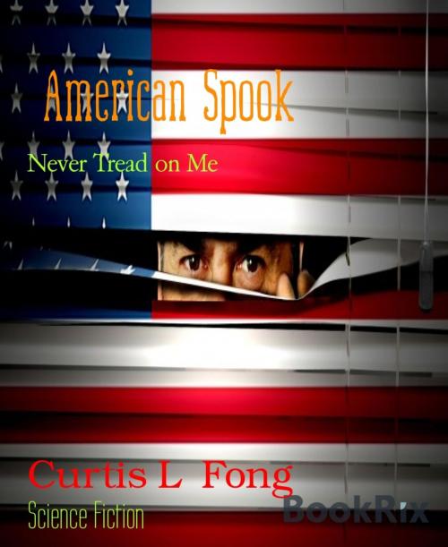 Cover of the book American Spook by Curtis L Fong, BookRix