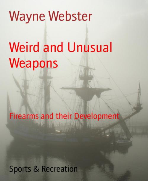 Cover of the book Weird and Unusual Weapons by Wayne Webster, BookRix
