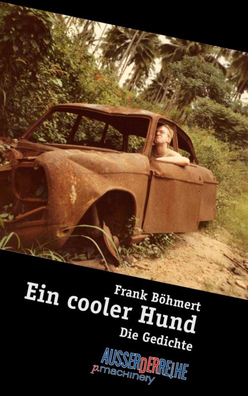 Cover of the book Ein cooler Hund by Frank Böhmert, BookRix