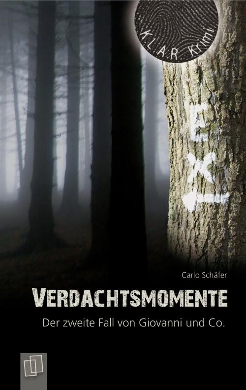 Cover of the book Verdachtsmomente by Carlo Schäfer, Verlag an der Ruhr