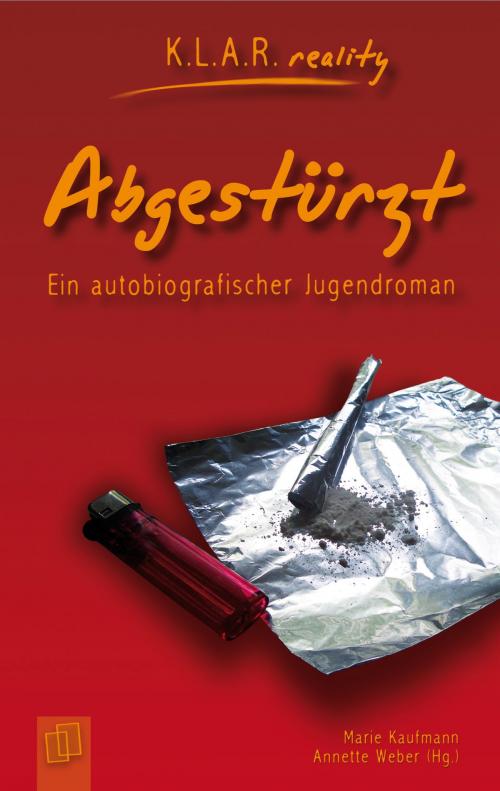 Cover of the book Abgestürzt by Marie Kaufmann, Anette Weber, Verlag an der Ruhr