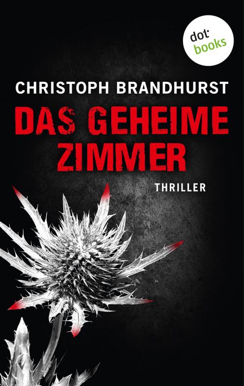 Cover of the book Das geheime Zimmer by Christoph Brandhurst, dotbooks GmbH