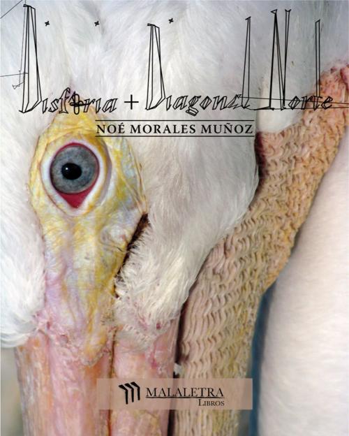 Cover of the book Disforia + Diagonal Norte by Noé Morales, Publicaciones Malaletra Internacional