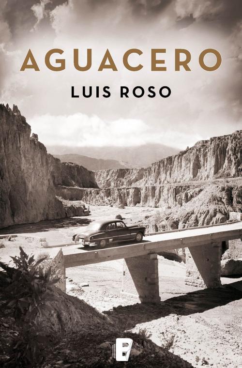 Cover of the book Aguacero (Inspector Trevejo 1) by Luis Roso, Penguin Random House Grupo Editorial España