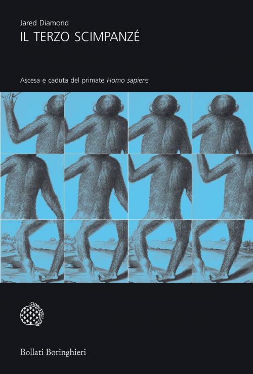 Cover of the book Il terzo scimpanzé by Jared Diamond, Bollati Boringhieri
