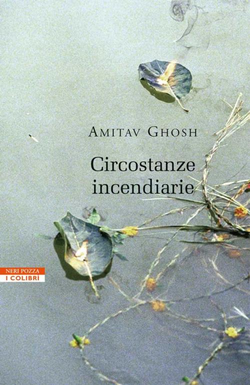 Cover of the book Circostanze incendiarie by Amitav Ghosh, Neri Pozza