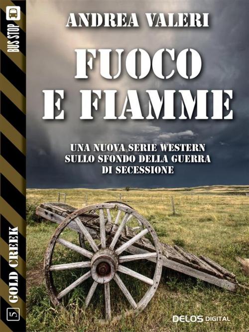 Cover of the book Fuoco e Fiamme by Andrea Valeri, Delos Digital