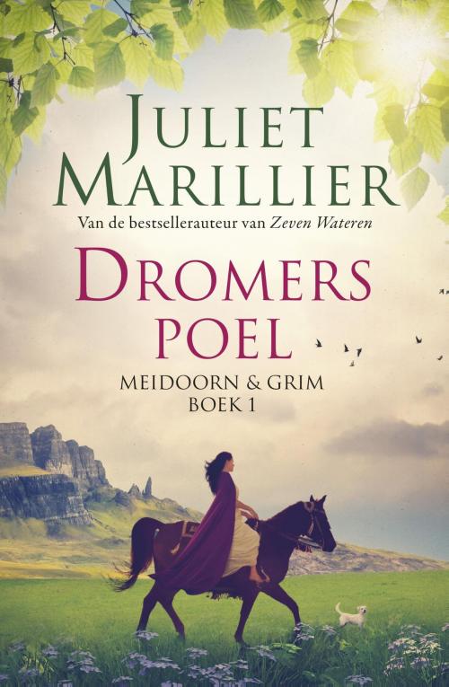 Cover of the book Dromerspoel by Juliet Marillier, Luitingh-Sijthoff B.V., Uitgeverij